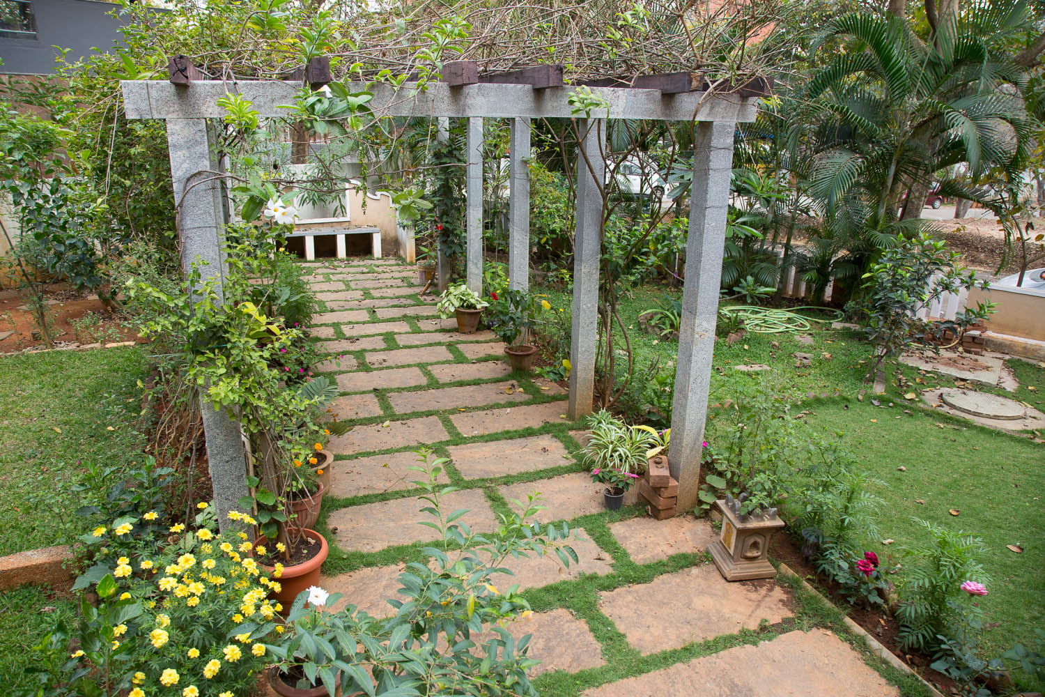 Elements of the landscape